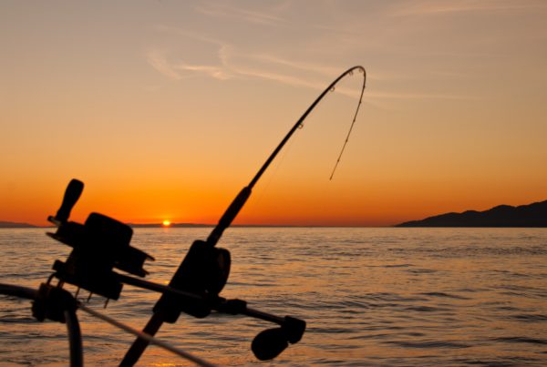 black fishing rod and body of water during golden hour