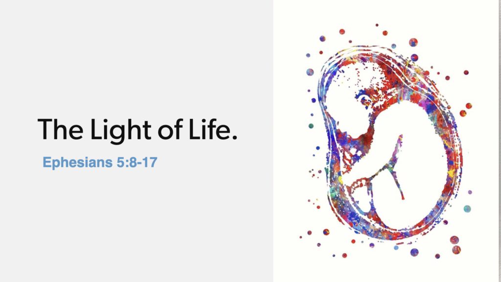 Sanctity of Life Sunday: The Light of Life