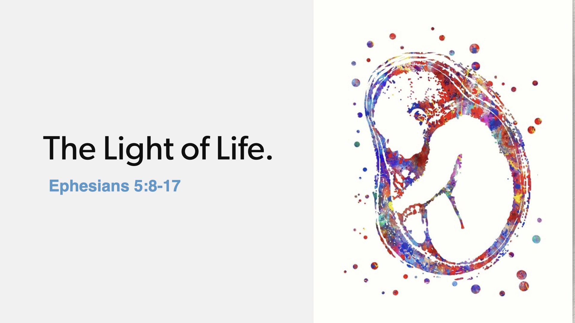 Sanctity of Life Sunday The Light of Life Grace Calvary Chapel