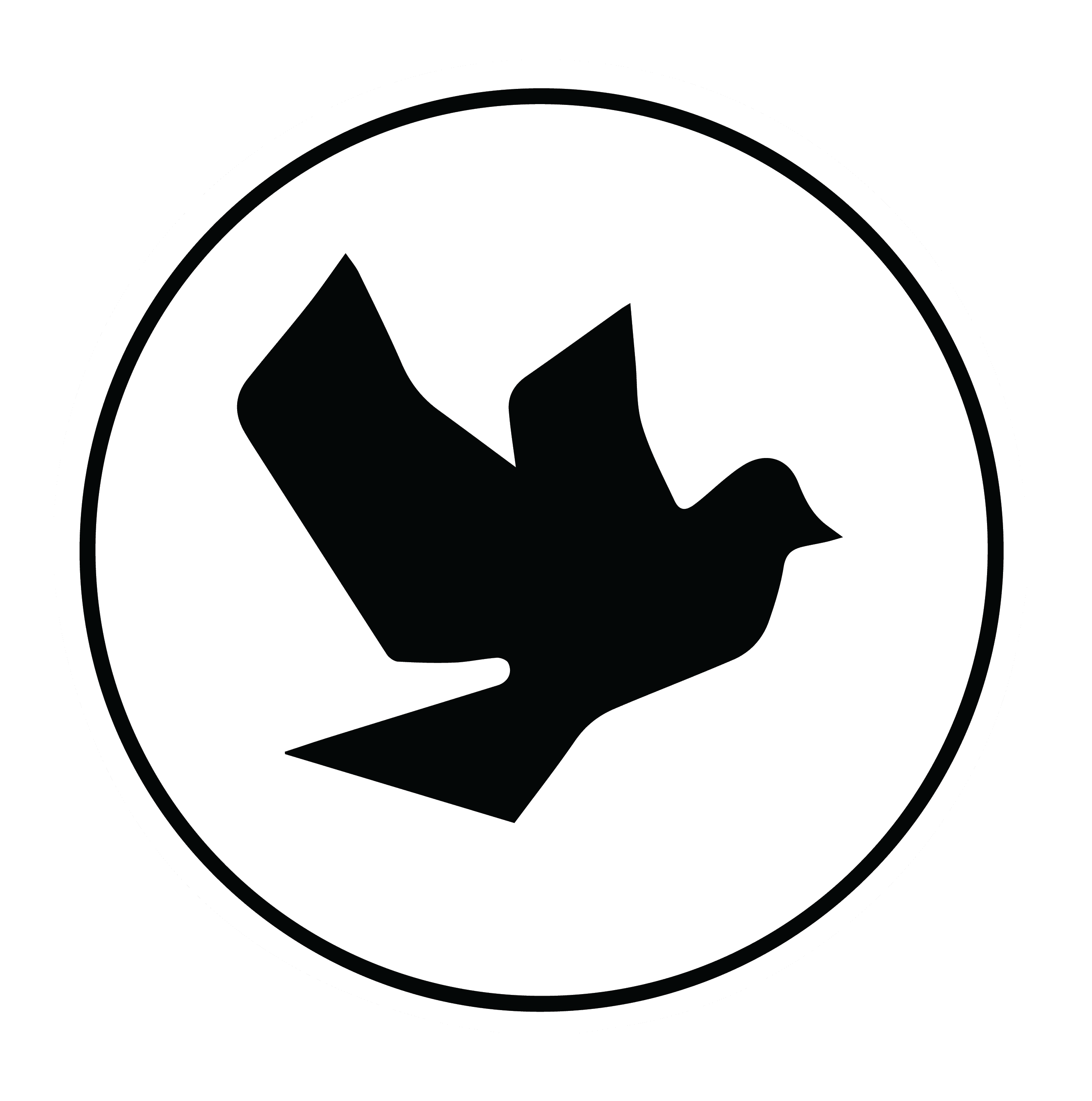 Grace Calvary Chapel