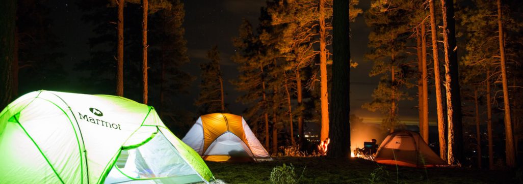 three dome tents with lights on forest beside campfire