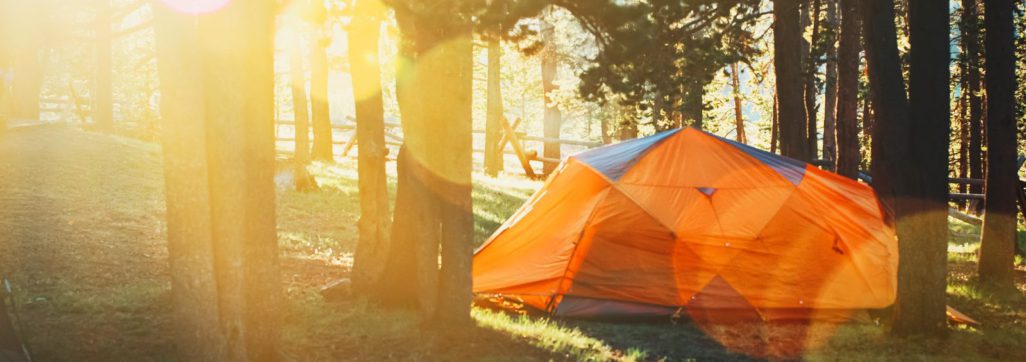 orange tent inside the forest