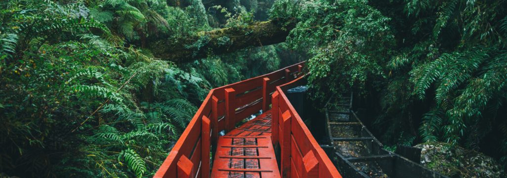 red metal bridge over river